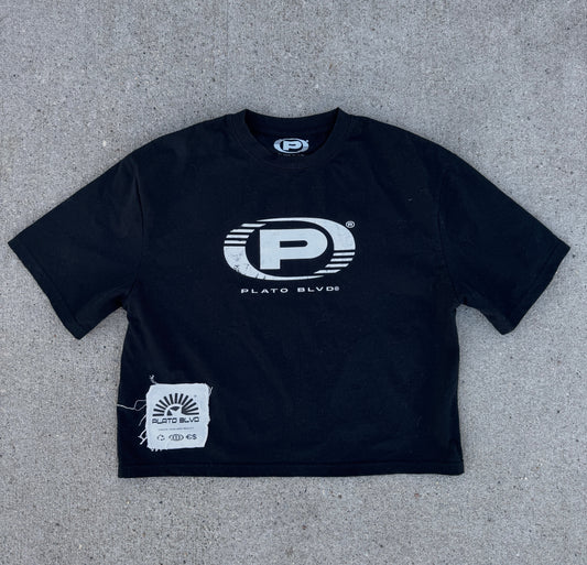 PL Proto Box Tee